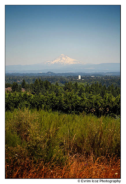 Mt. Hood Oregon