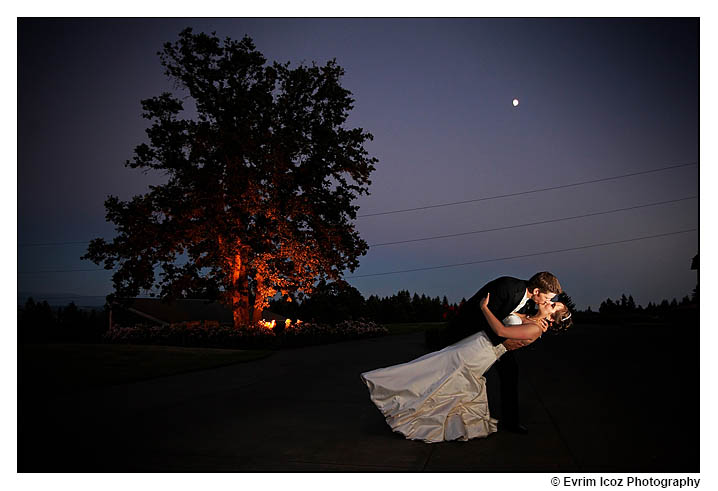 Wedding Dip under the moon