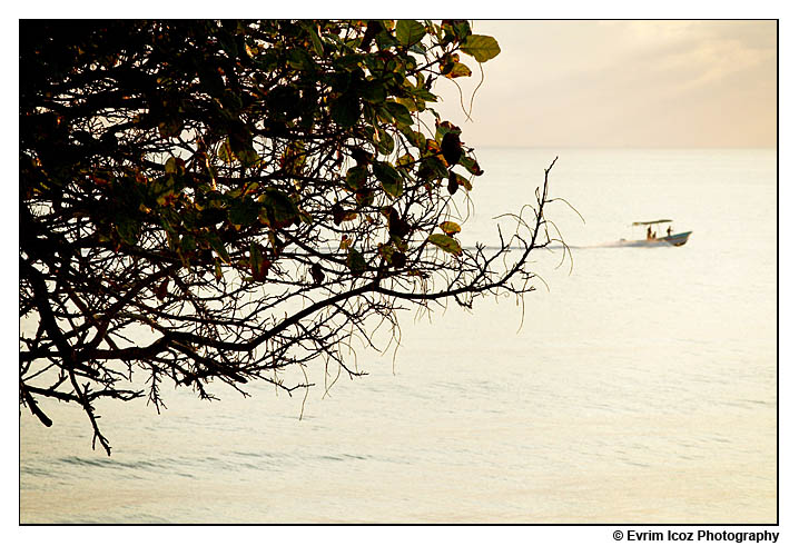 casa las palmas II punta mita wedding