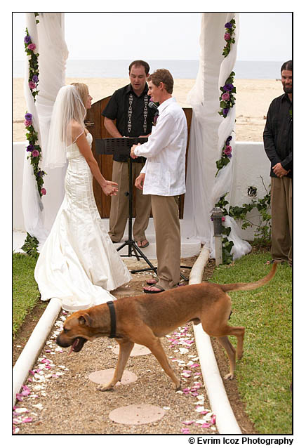 A unique and romantic mexico wedding at Mar Plata Restaurant in San Pancho