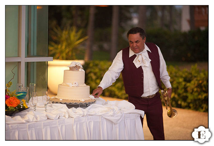 mazatlan wedding at mayan sea garden