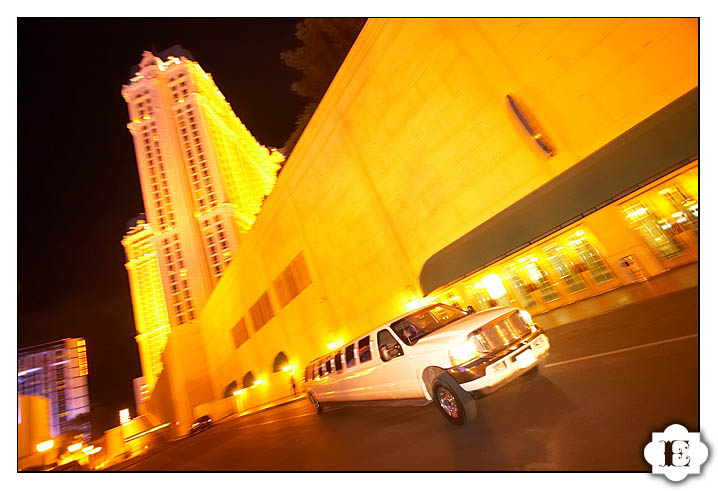 Las Vegas Eiffel Tower Wedding