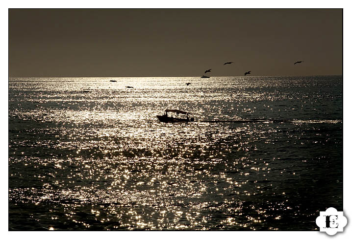 Playa Fiesta Wedding at Puerto Vallarta, Mexico