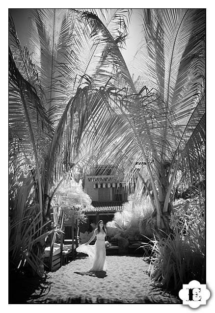 Puerto Vallarta Portraits, Mexico