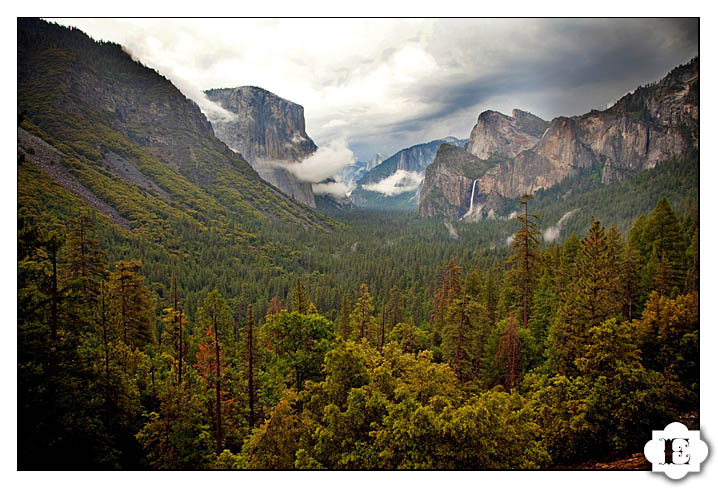 Tenaya Lodge Yosemite Valley Wedding