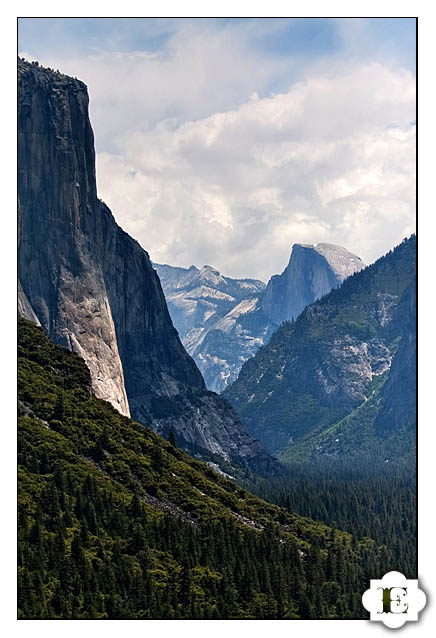 Yosemite Valley Wedding