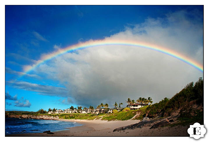 maui hawaii wedding lahaina beach wedding