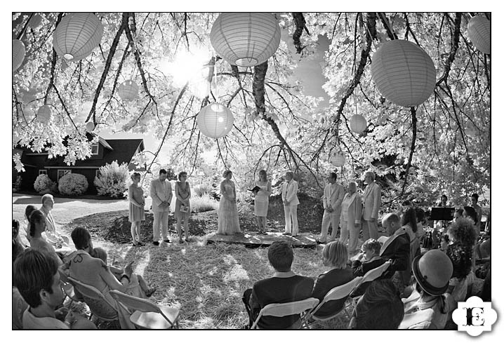 christmas tree farm wedding in Salem, Oregon