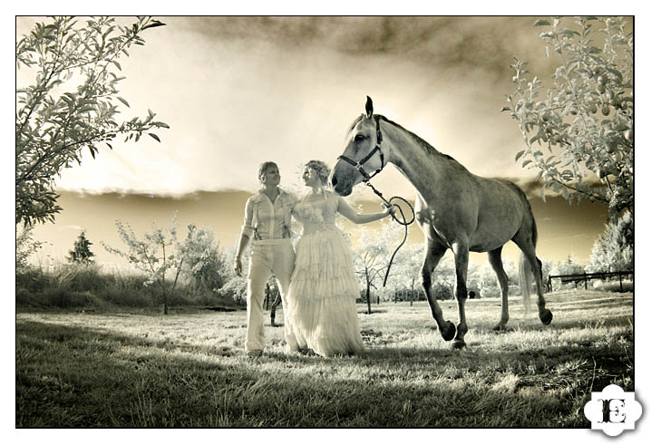 bride and groom with horse portrait