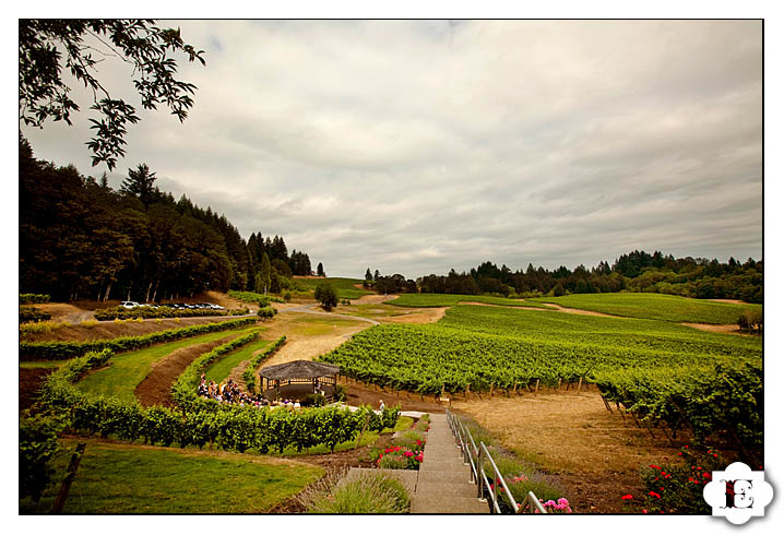 Elk Cove Vineyards