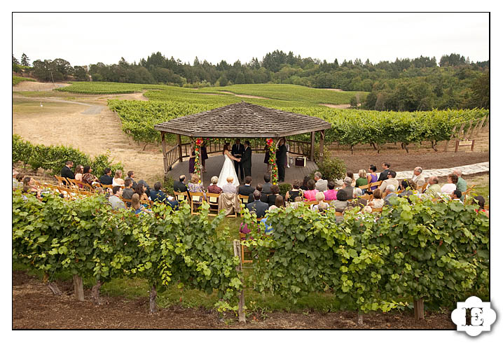 Elk Cove Vineyards