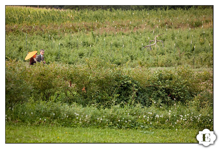 krugers farm sauvie island