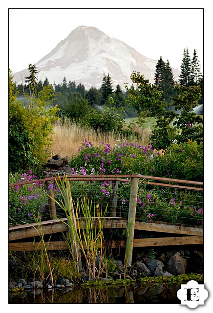 mt. hood bed and breakfast wedding pictures