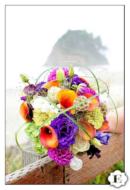 neskowin oregon beach wedding-