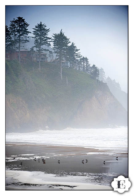 neskowin oregon beach wedding-