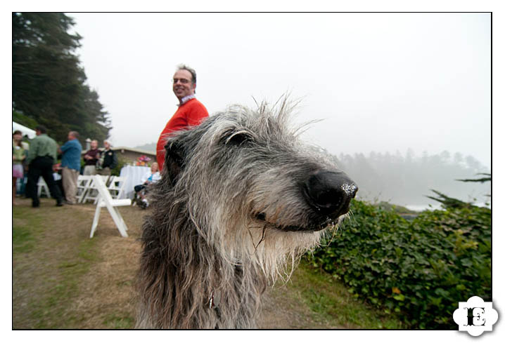 neskowin oregon beach wedding-