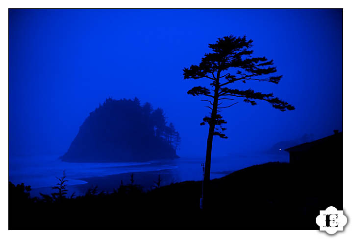 neskowin oregon beach wedding-