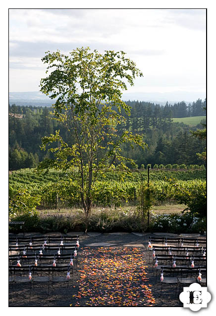 Garden Vineyards Wedding