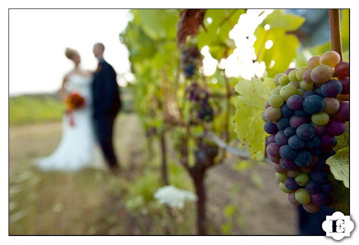 Garden Vineyards Wedding