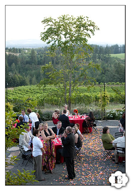 Garden Vineyards Wedding