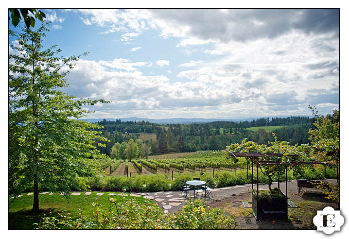 Garden Vineyards Wedding