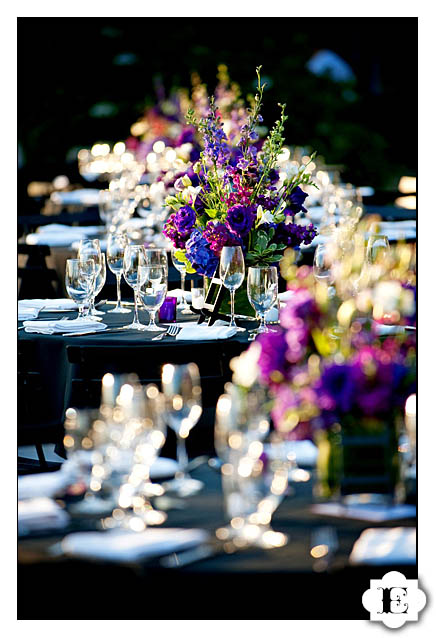 Garden Vineyards Wedding