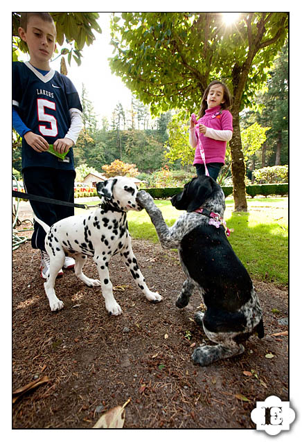 riverview restaurant wedding at sandy river