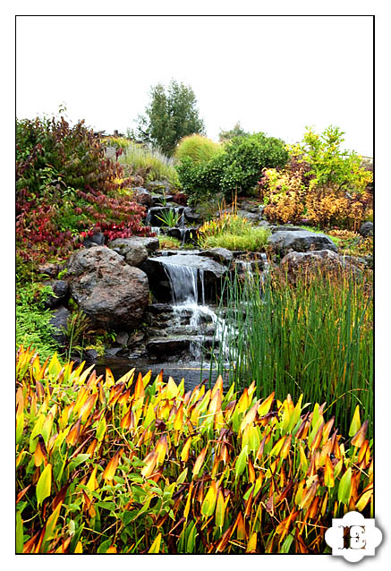 oregon gardens at silverton, or