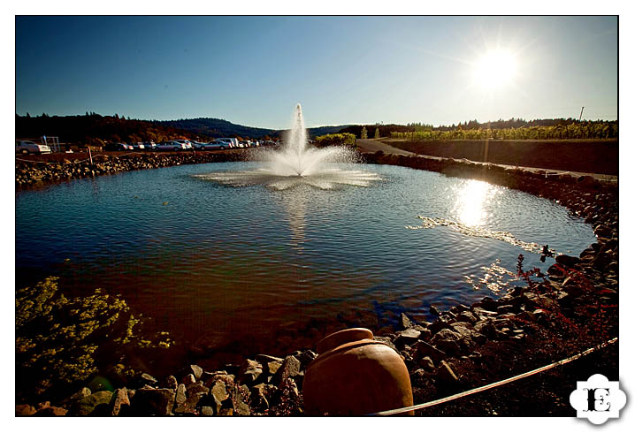 zenith vineyards salem wedding