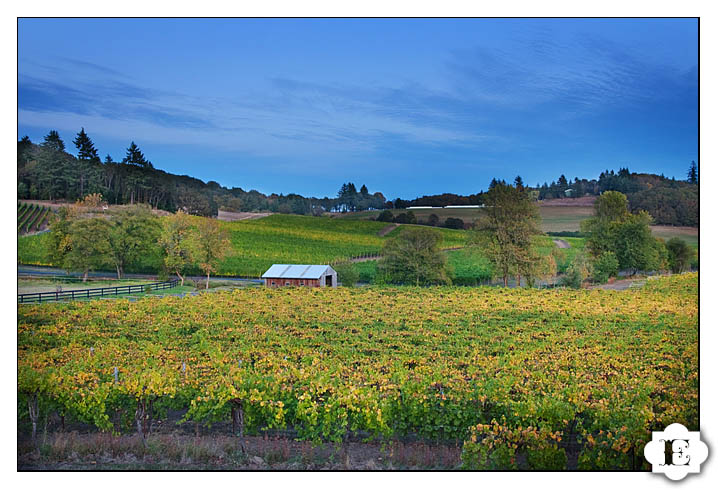 zenith vineyards salem wedding