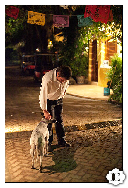 villa amor sayulita wedding