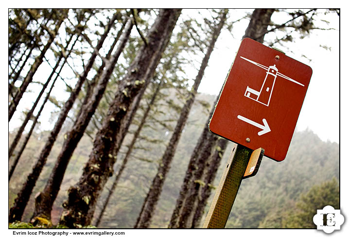 heceta head lighthouse wedding