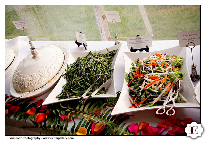 heceta head lighthouse wedding