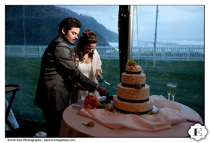 heceta head lighthouse wedding