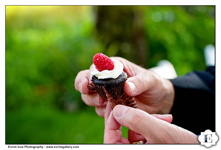 Bridal Veil Lakes Columbia Gorge Wedding 