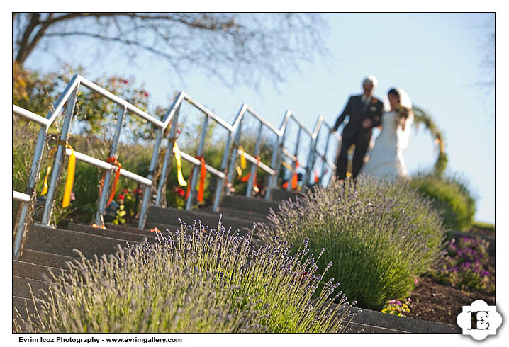 elk cove vineyard wedding