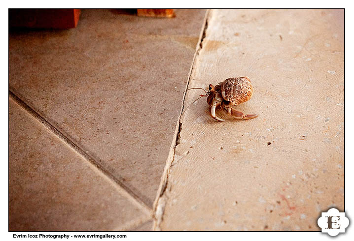 Mexico Beach Wedding