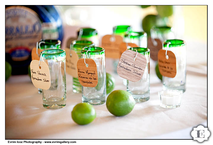 Puerto Vallarta Wedding