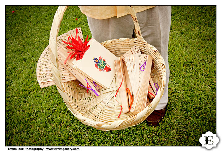 Puerto Vallarta Wedding