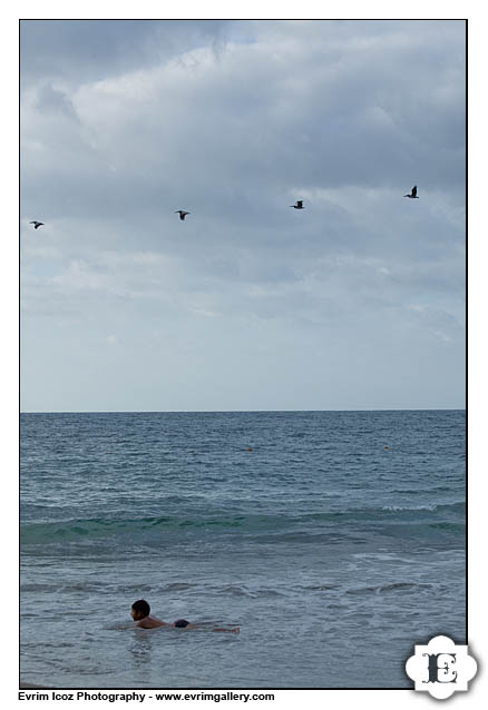 Puerto Vallarta Wedding