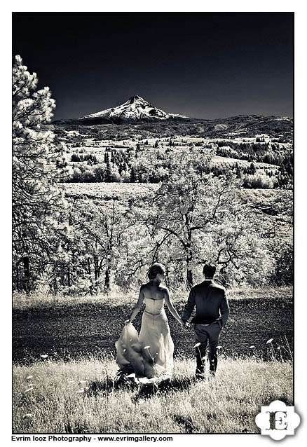 Hood River Gorge Wedding