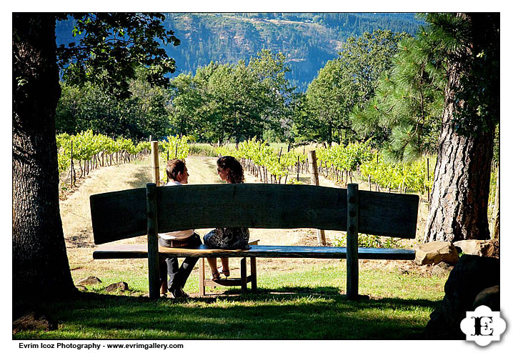 Hood River Gorge Wedding