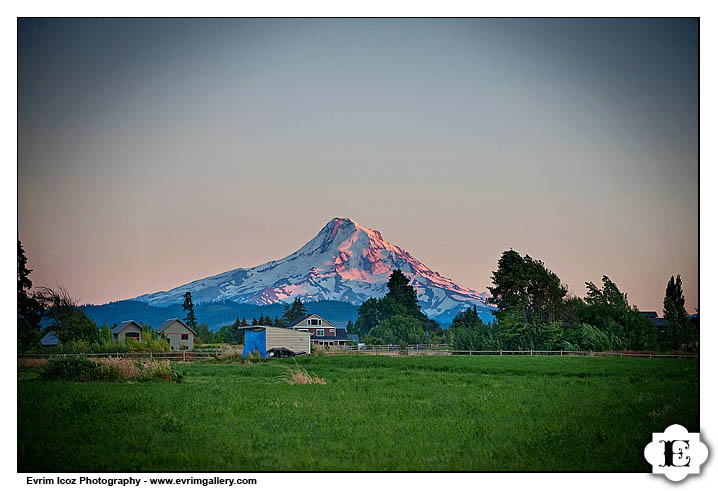 Hood River Gorge Wedding