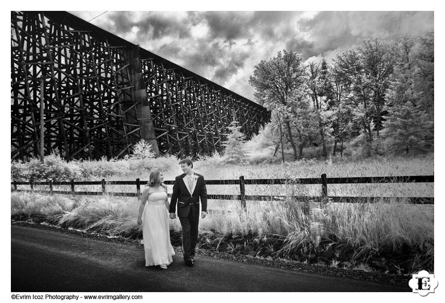 Oregon Vineyard Wedding