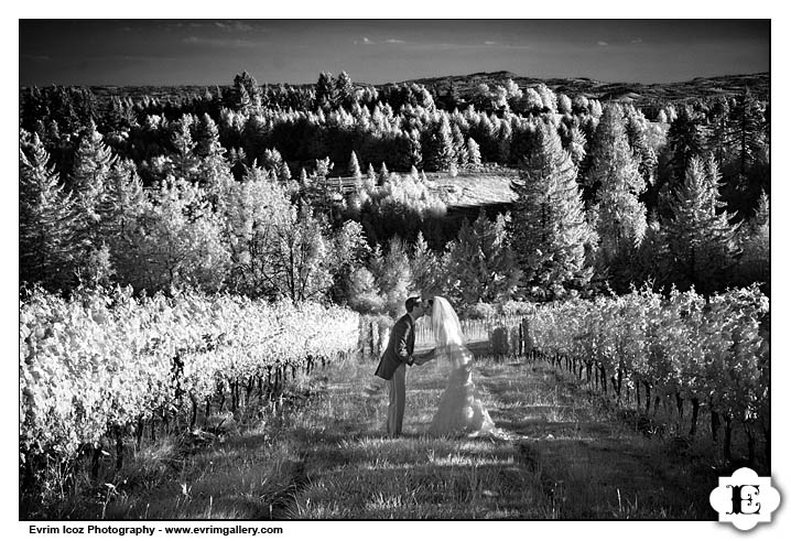 Garden Vineyards Nines Hotel Wedding Reception and Ceremony