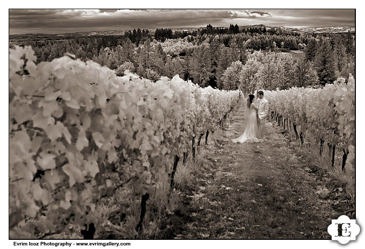 Garden Vineyards Wedding Reception and Ceremony