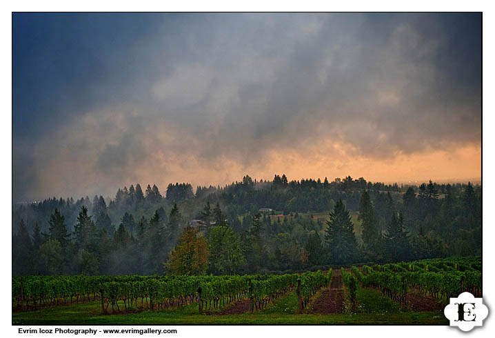 Oregon Garden Vineyards Rainy Wedding