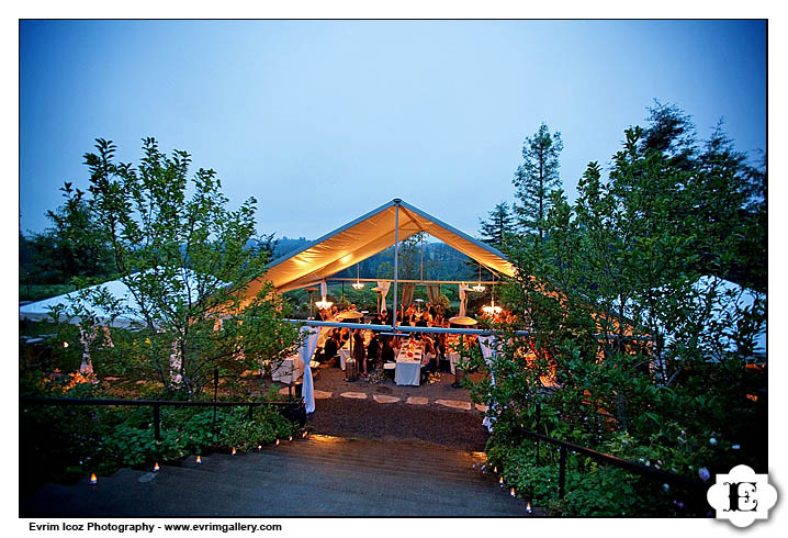 Rainy Oregon Vineyard Wedding