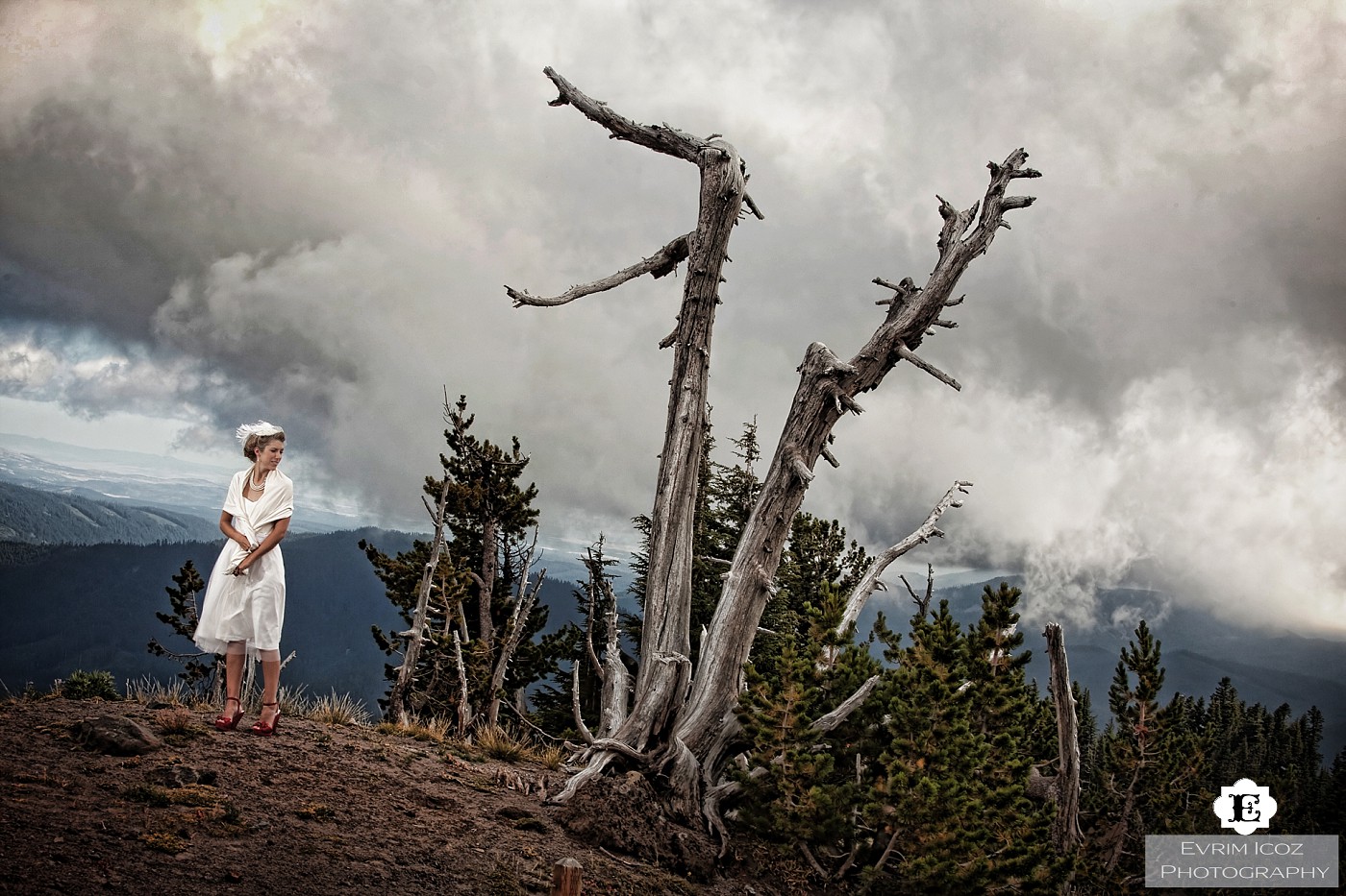 Timberline Lodge Wedding