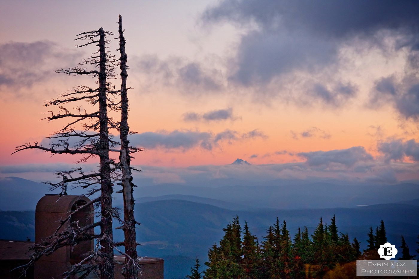 Timberline Lodge Wedding